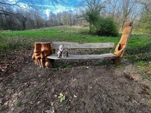Auf der Suche nach einem Kleinen Hund bis 40 cm  Bild 6