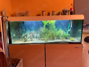 Aquarium inkl Zubehört 