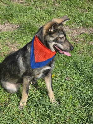 Wo darf ich mein Körbchen platzieren