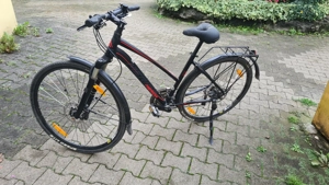Damen Fahrrad Bild 3