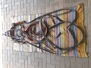 Brustblattgeschirr für Warmblut zu Verkaufen