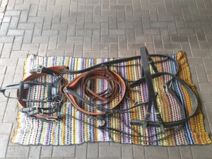 Brustblattgeschirr für Warmblut zu Verkaufen Bild 3