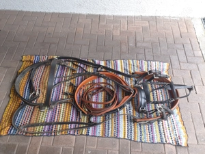 Brustblattgeschirr für Warmblut zu Verkaufen Bild 2