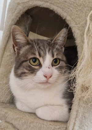 Samantha 1 Jahr, lieb, ruhig