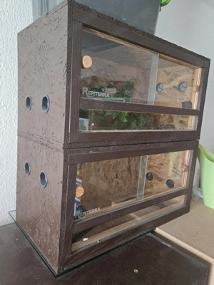 Terrarium Reptilien klein