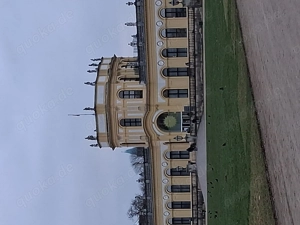 Gemeinsam das Leben genießen 