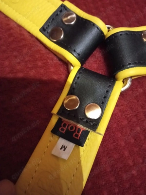 Lederharness ROB NEU