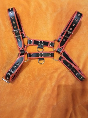 Harness NEU