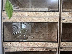 OSB-Terrarium 130 x 70 x 70 nagelneu unbenutzt - Schnapper!