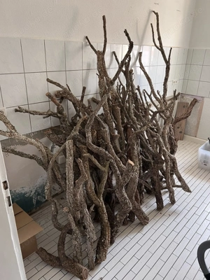 Nagelneue große Korkäste - für Nager wie zb Chinchillas Bild 2