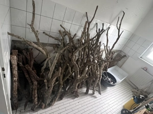 Nagelneue große Korkäste - für Nager wie zb Chinchillas