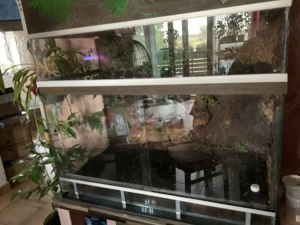 Terrarium 100x50x80 cm 