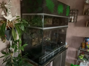 Terrarium 100x50x80