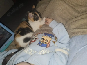 leider ab zu geben wegen allergie meines kindes 