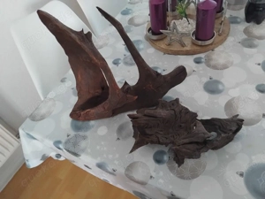 2 große Aquarium Wurzeln für dein Becken