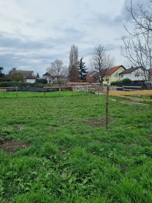 Offenstallhaltung in 67240