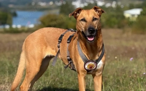 Die süße Finja möchte noch viel erleben Bild 5