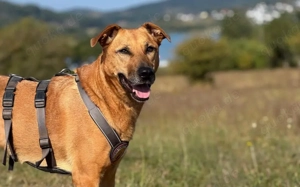 Die süße Finja möchte noch viel erleben Bild 2