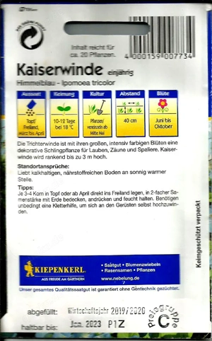 Jetzt ist Pflanzzeit !  Blaue Kaiserwinde-Samen aus Nachzucht zu verschenken ! Bild 2
