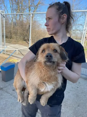 Roland, zzt. in Ungarn,  zeigt sich freundlich, offen und überraschend gelassen