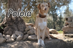 Wird Polola endlich geliebt???