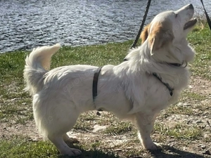 Hallo, ich bin Ella!