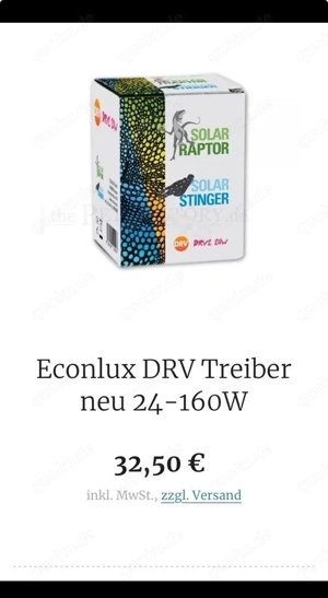 scheibenheizung, dendrobates, oophaga, terrarium, solar raptor