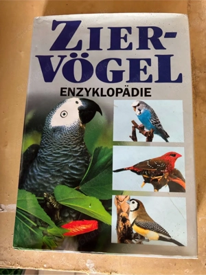 Ziervögel sehr dick