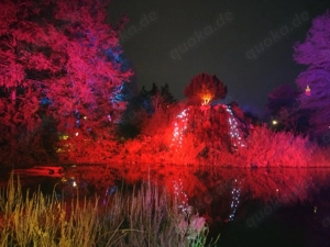 Lust und Leidenschaft für die Frau mit Lust und Leidenschaft 