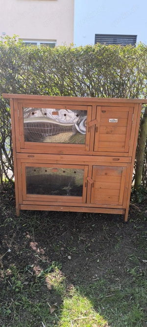 Starterset Hase   Meerschweinchen 