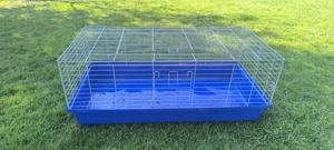 Starterset Hase   Meerschweinchen  Bild 4