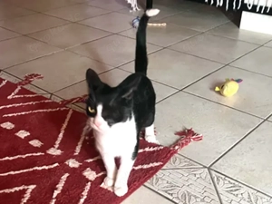 NOFRETETE - auch einäugig schön