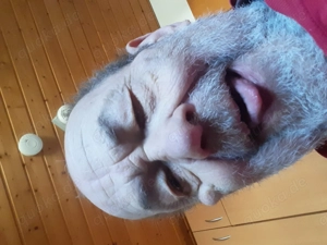 Ichbindurstigaufdickebruehe