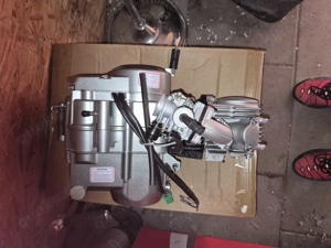 Honda Dax Motor 125 ccm
