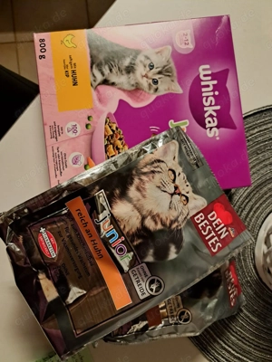 Katzenfutter Junior