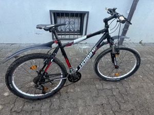 Herren Fahrrad 