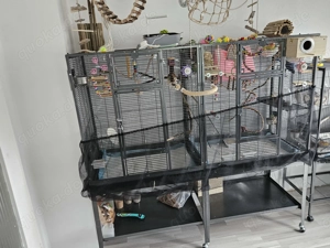 Großer Vogelkäfig mit 6 Rosenköpfchen