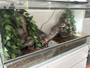 Terrarium Paludarium