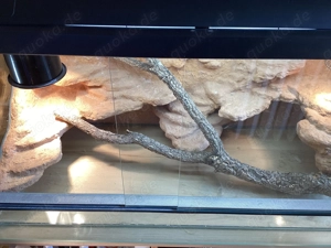 Terrarium mit Unterschrank