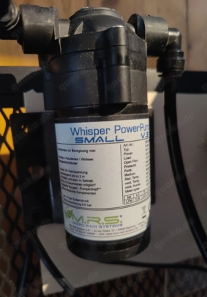 Dendrobaten Regenwald Terrarium 