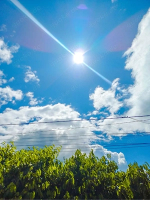 M19 sucht sie gern auch ältere