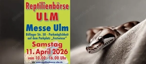 Reptilienbörse Ulm Terraristikevent 11.04.2026 Messehalle