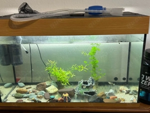 aquarium 70l