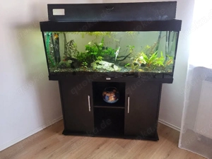 aquarium Juwel 240l 