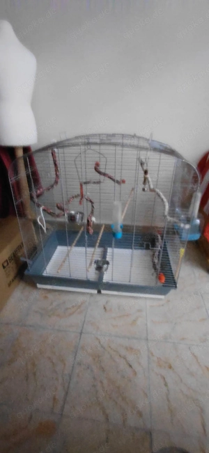 vogelkäfig 