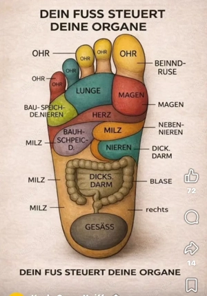 Physiotherapie und Massage für die Frau  privat zu Hause  Bild 4