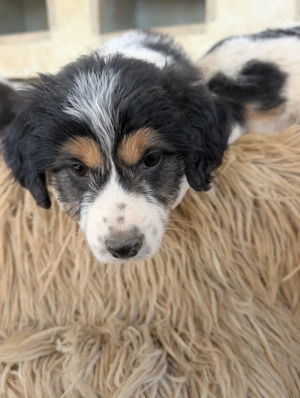 Franzi   mit ihrer Familie ins Leben gestartet