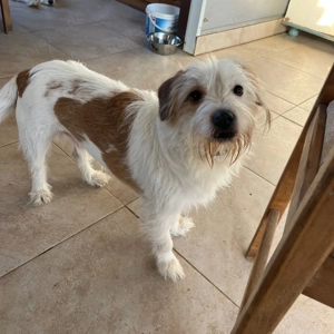 Muzie   freundlich, aufgeschlossen, möchte gefallen