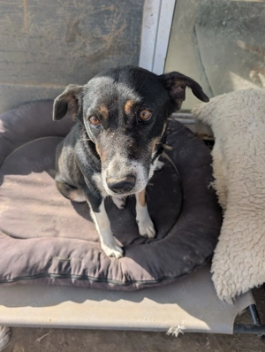 Ella   charmante Persönlichkeit mit Herz