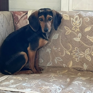 Gundi   vorsichtig und zurückhaltend 